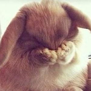 Meet your Posher, Esme